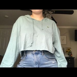 cropped Lacoste shirt